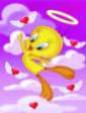 vla ptit tweety
